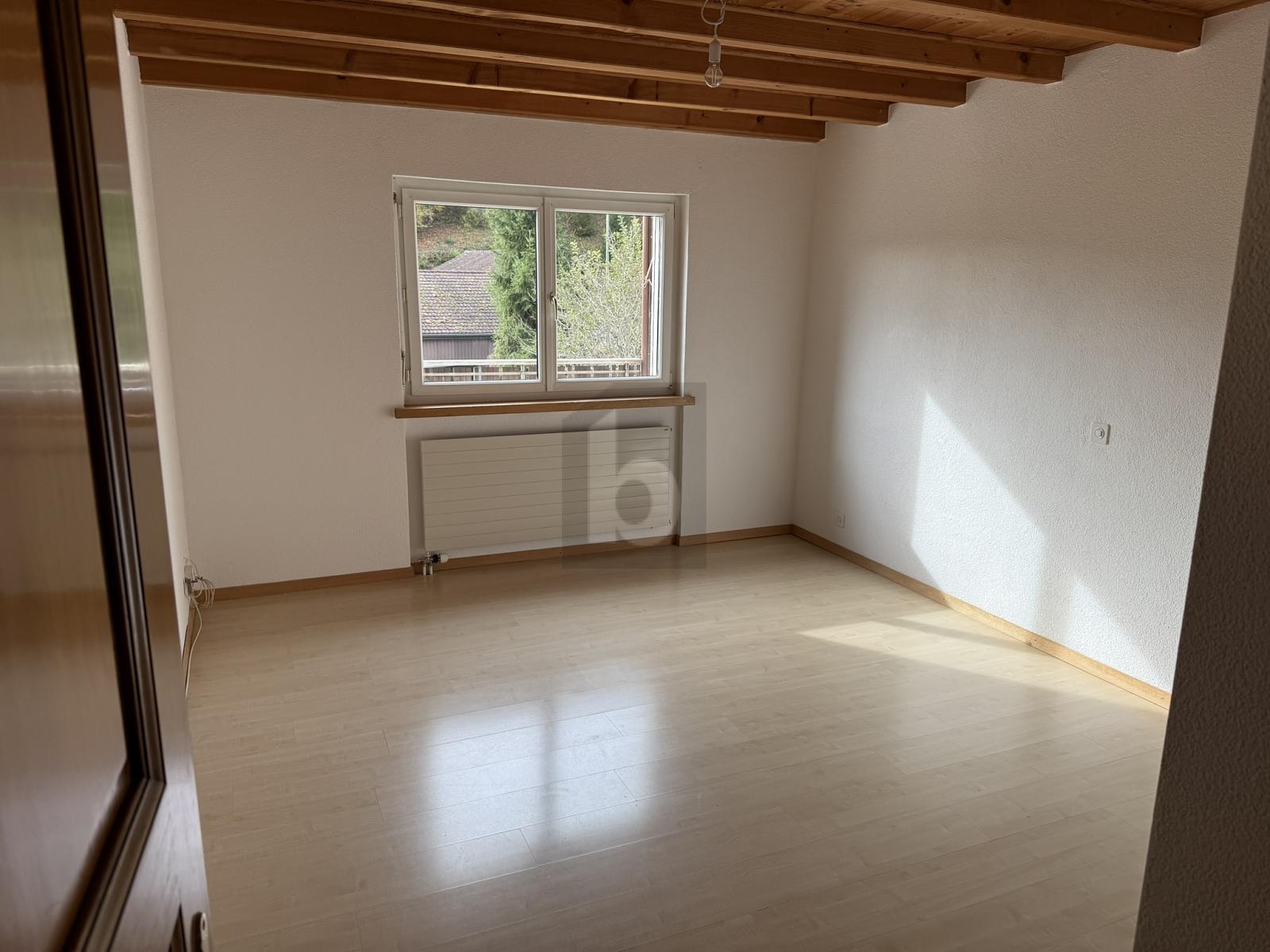 GROSSE TERRASSE, SCHWEDENOFEN UND VIEL PLATZ! - 2