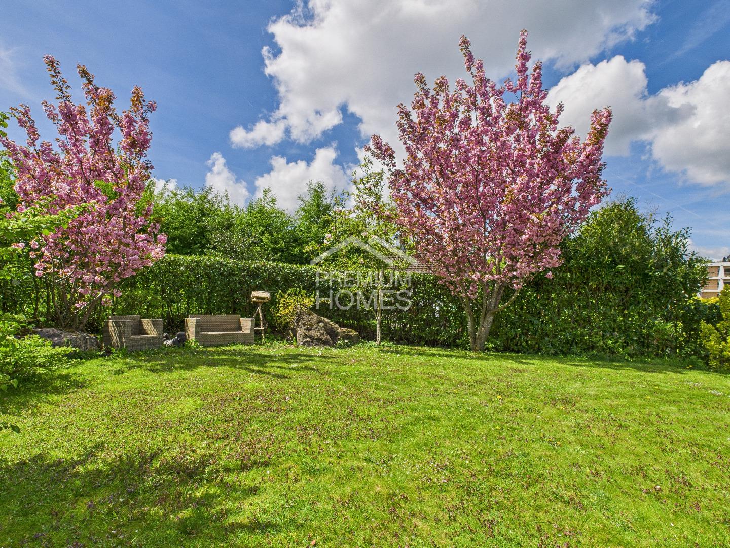 IDYLLISCHE UND DOCH ZENTRAL - MEINE WOHNOASE - 7