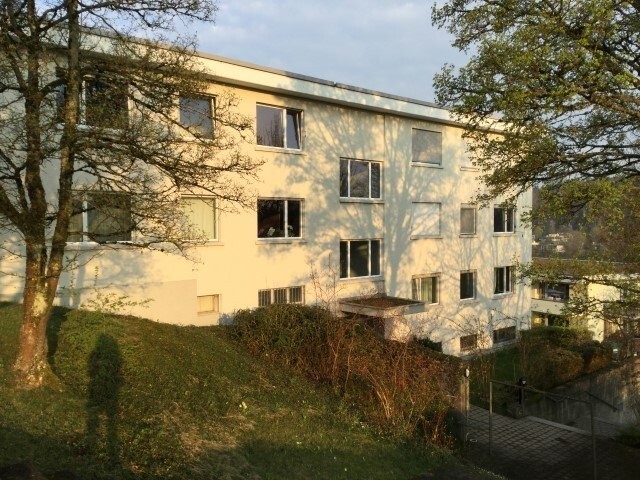 Im Sommer angenehm kühl, im Winter kein Scheibenkratzen! - 0