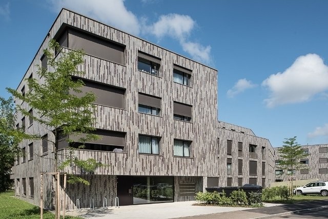 Wir suchen genau Sie - 0