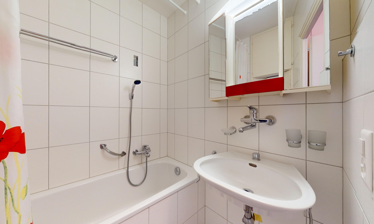 Exklusiv: Schöne 2-Zimmer-Wohnung mit Blick auf den Genfersee - 9