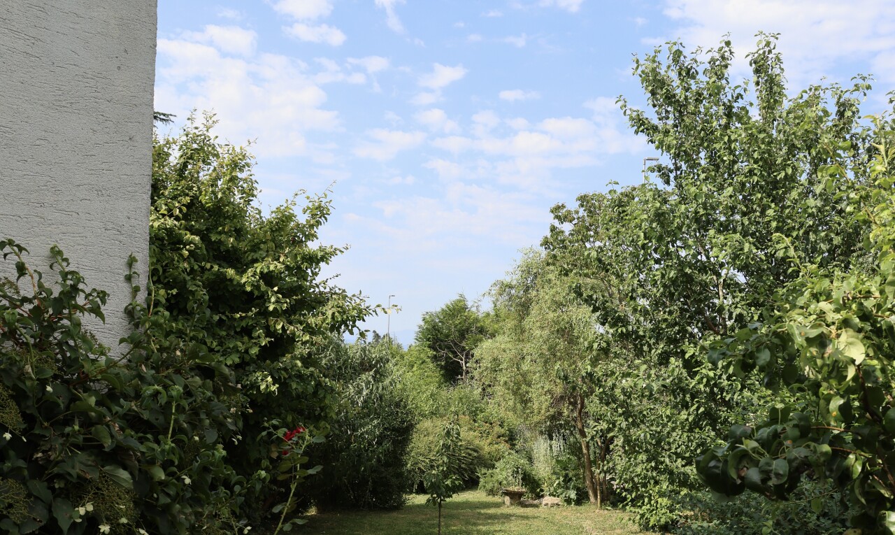 Maison individuelle in à La Conversion - 3