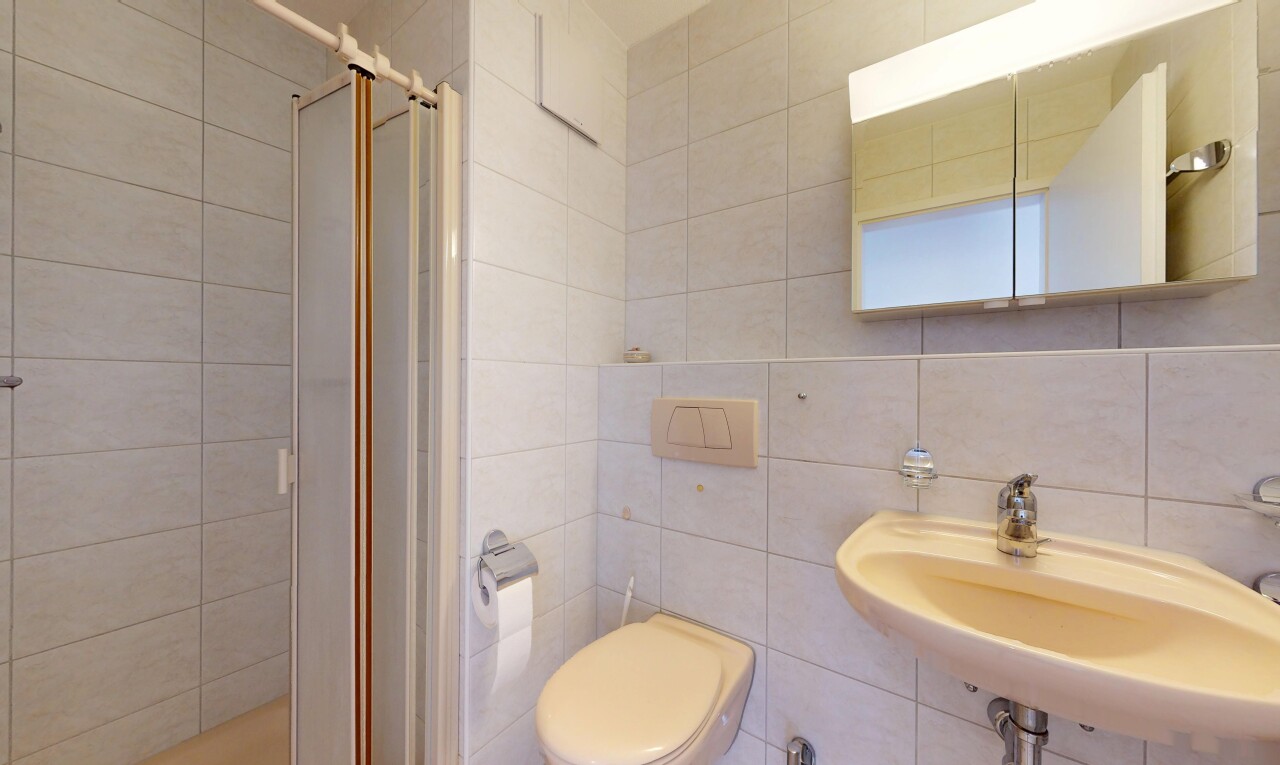 Grosszügige 4.5-Zi.-Wohnung mit Loggia an zentraler, ruhiger Lage - 9