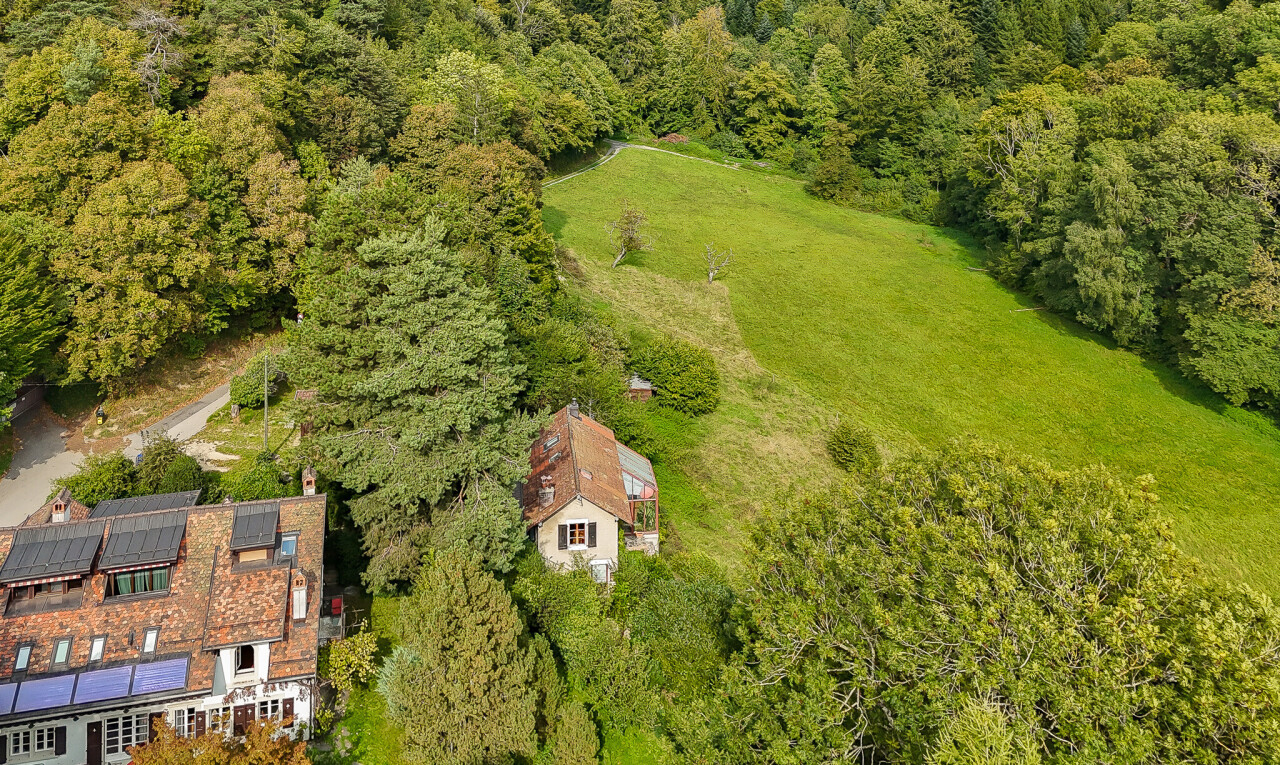 BAULAND MIT PROJEKT FÜR 2 WOHNEINHEITEN + GRÜNFLÄCHE - 3