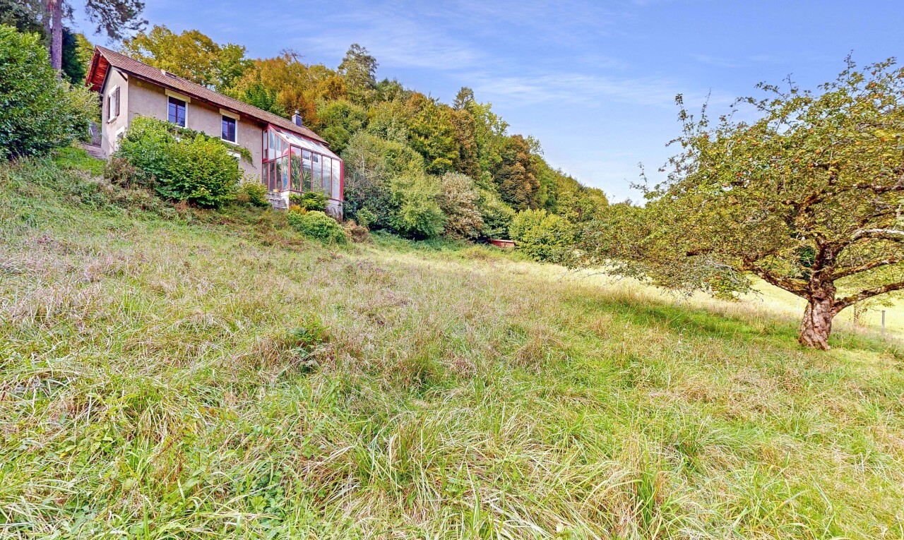 BAULAND MIT PROJEKT FÜR 2 WOHNEINHEITEN + GRÜNFLÄCHE - 8