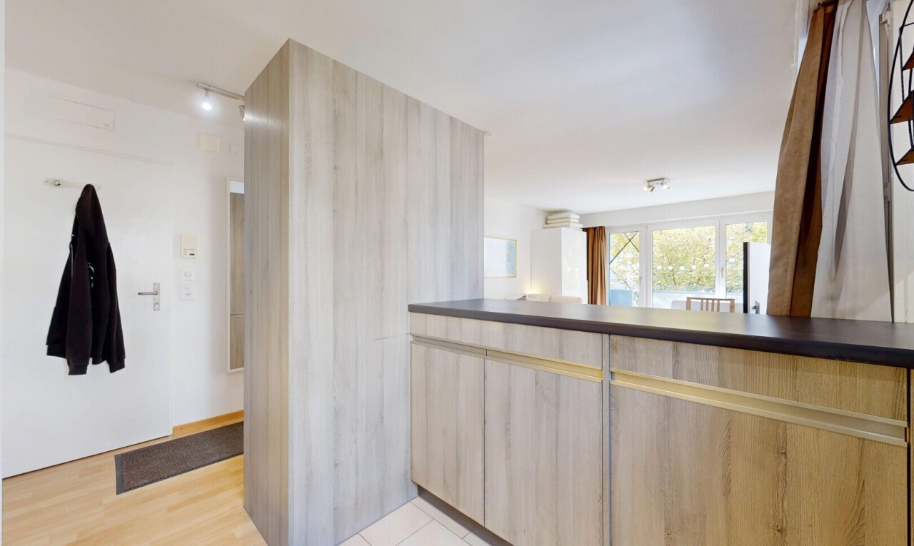 Renovated studio in Zurich’s Friesenberg district - 2