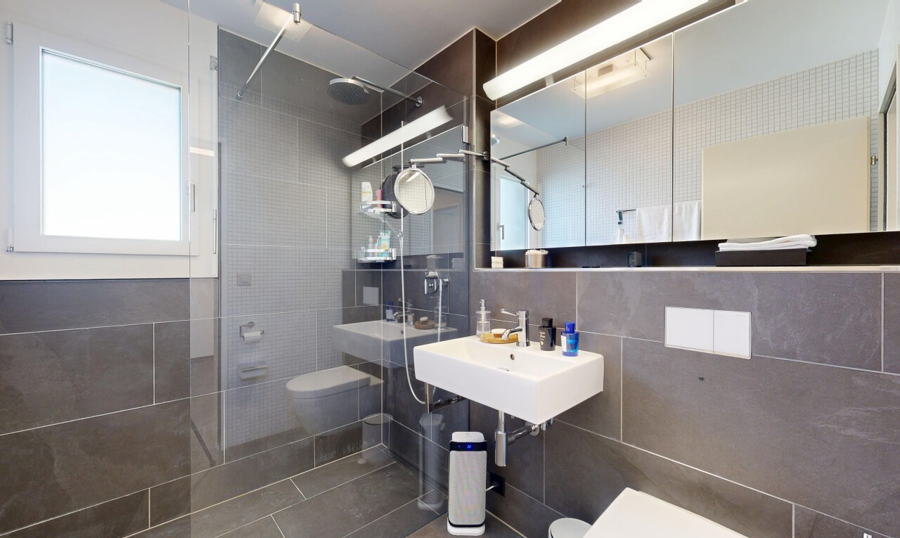 Duplex in Hünenberg See - 9