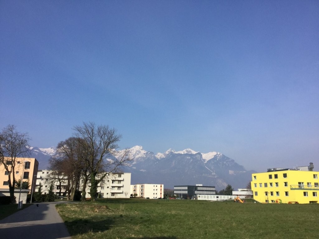 Magnifique logement situé dans un quartier verdoyant ! - 5