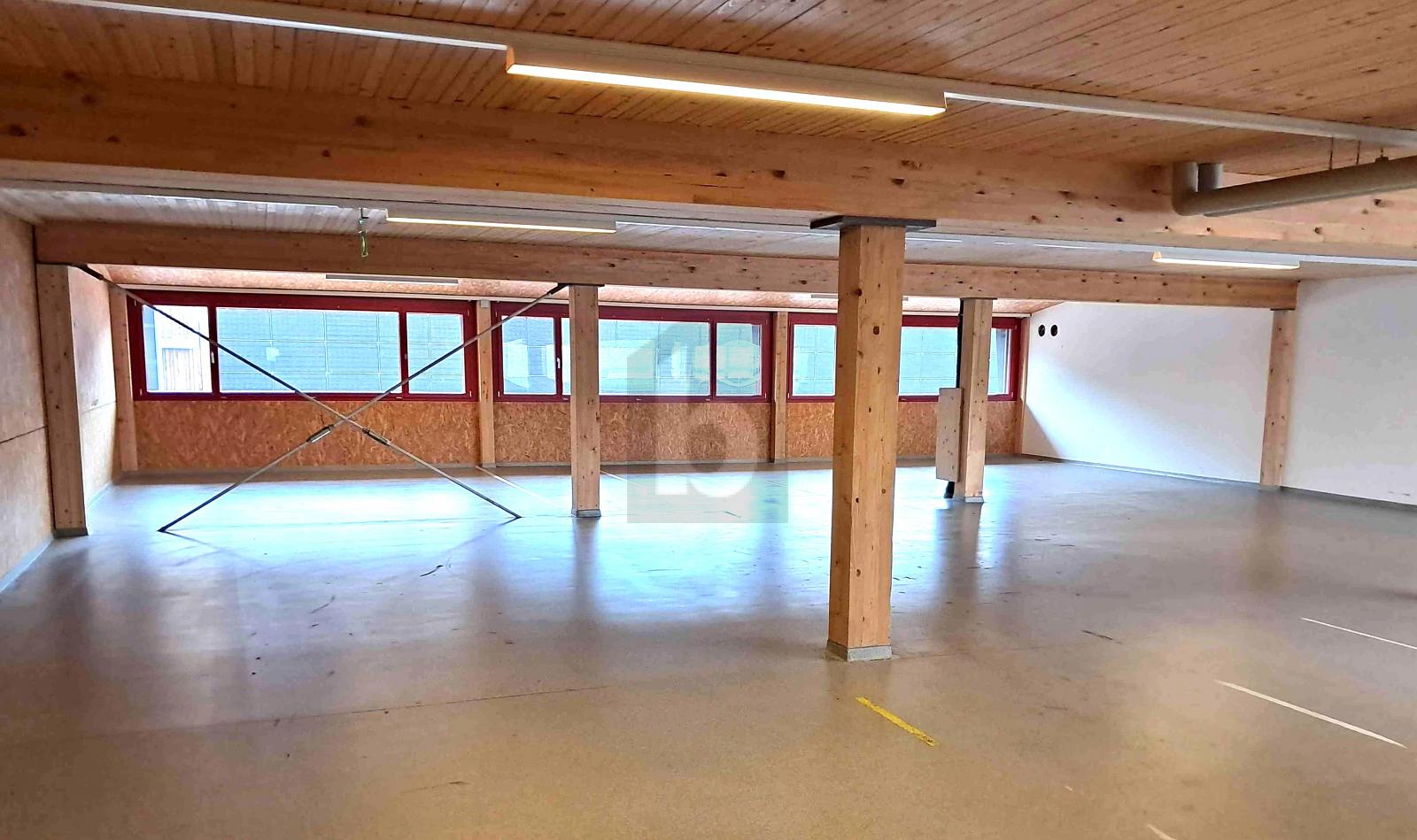 GEPFLEGTE RÄUME, VIELFÄLLTIG NUTZBAR - 0