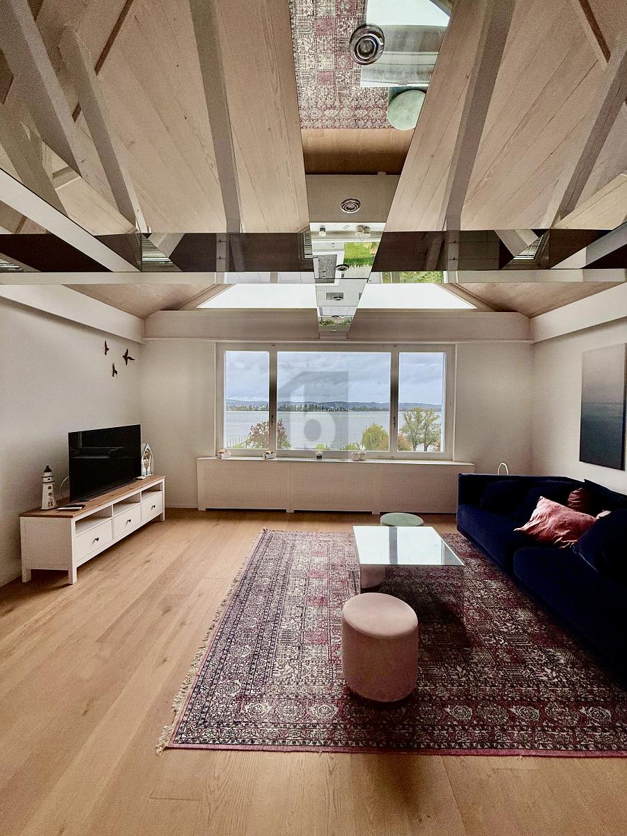 PANORAMABLICK ZUM BODENSEE - 0