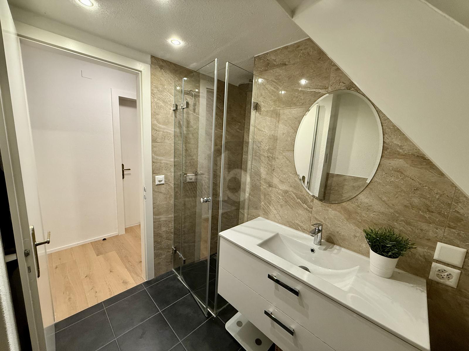 PANORAMABLICK ZUM BODENSEE - 1