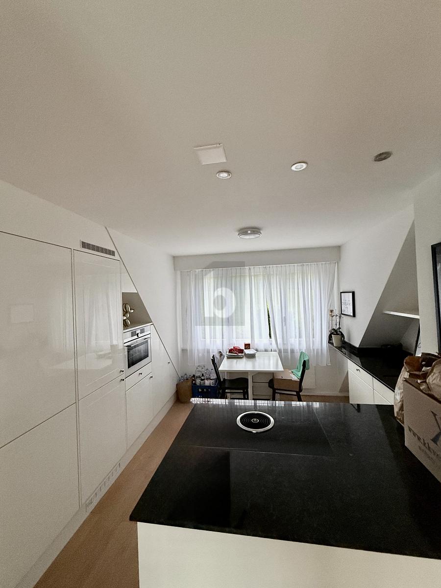 PANORAMABLICK ZUM BODENSEE - 2