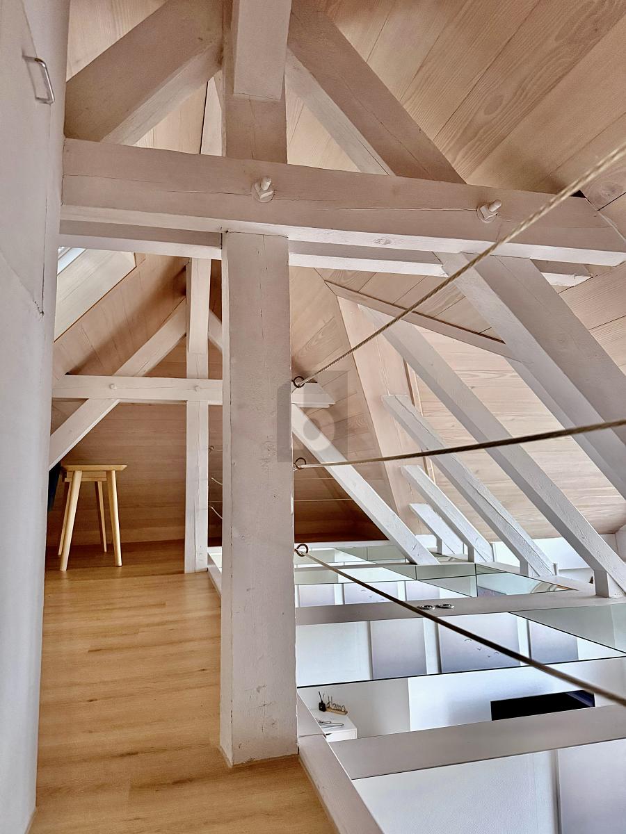 PANORAMABLICK ZUM BODENSEE - 4