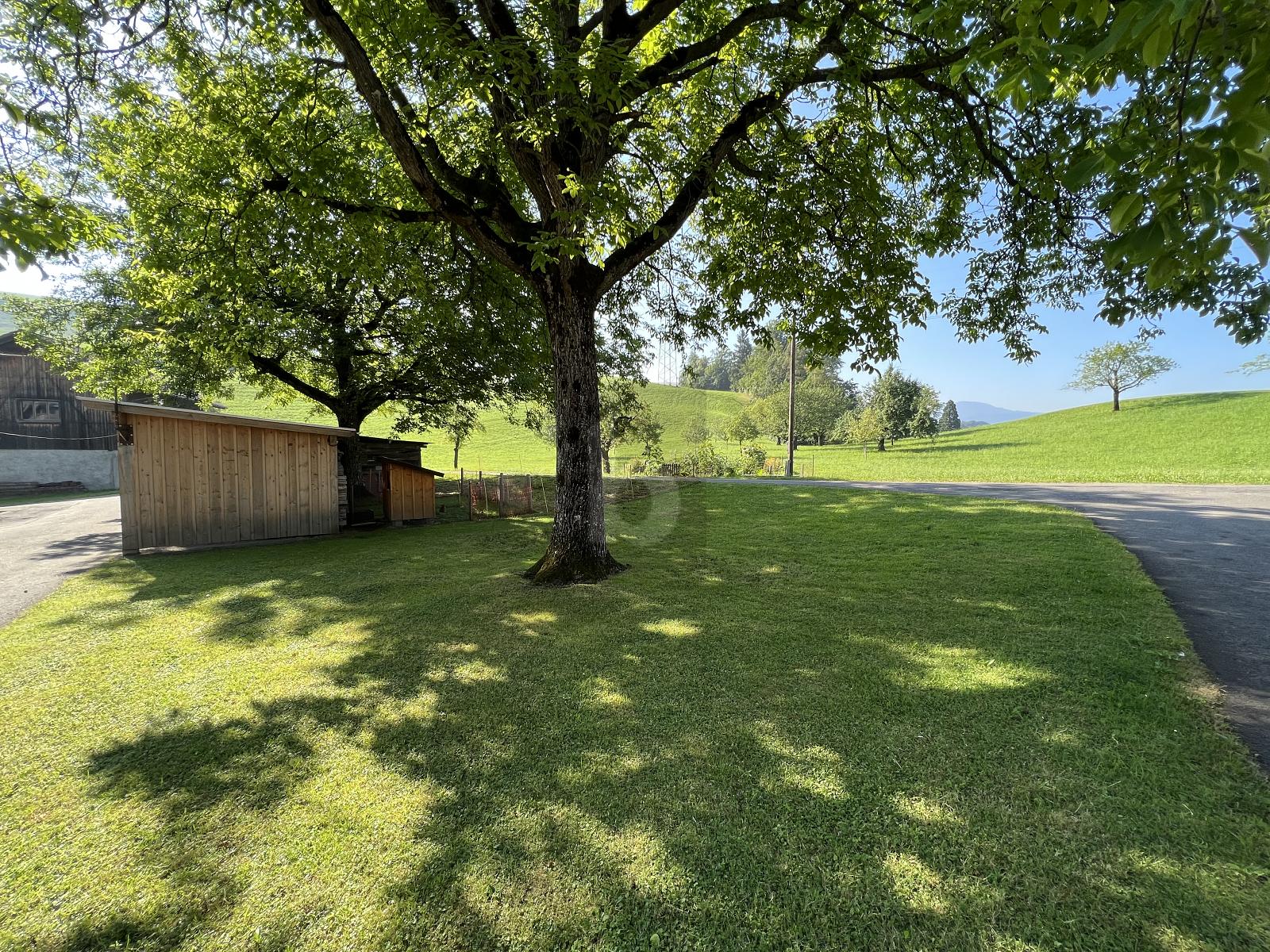 SCHÖN, NATURVERBUNDEN UND NEUWERTIG - 0