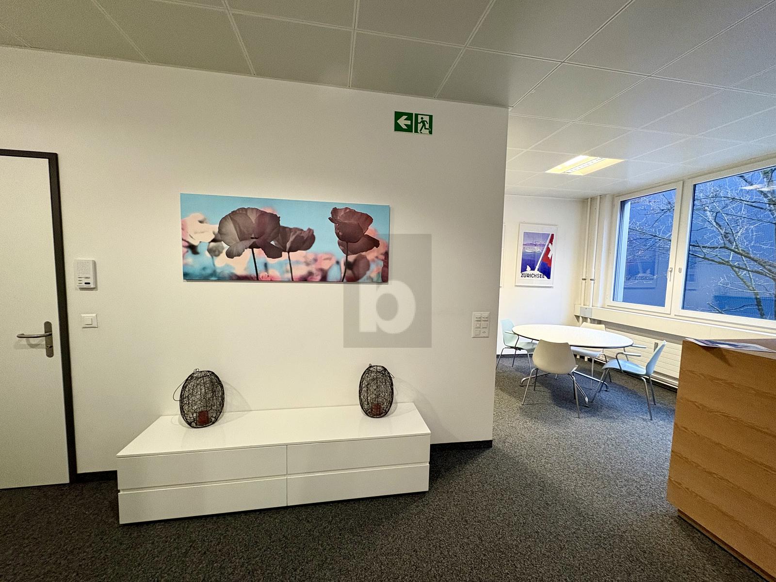 REPRÄSENTATIV UND VIELSEITIG NUTZBAR - 1