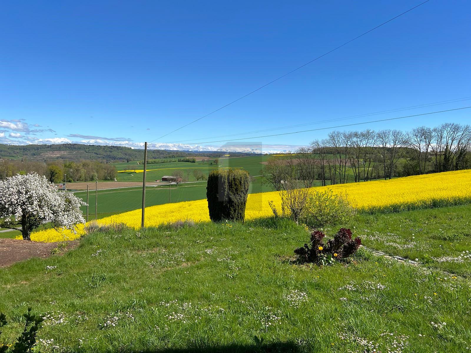 UN COIN DE PARADIS AU COEUR DE LA NATURE ! - 1