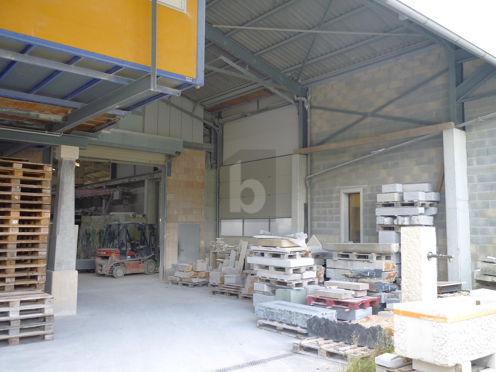 HALLE RARE, PRO ET STRATÉGIQUE - 2