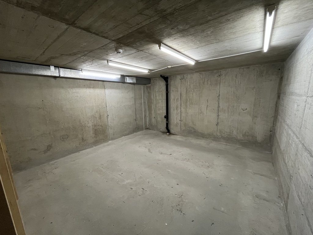 Dépôt au Centre-Ville de Sion - 1