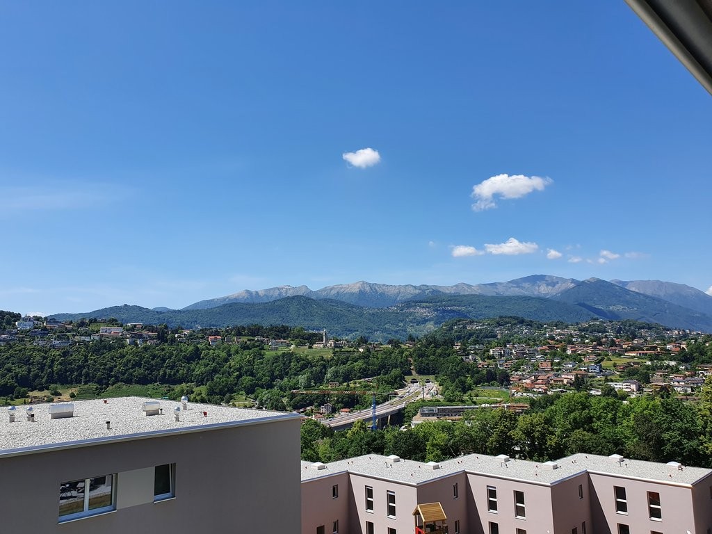 Affittiamo luminoso 2.5 locali immerso nel verde nel cuore di Pazzallo - 5