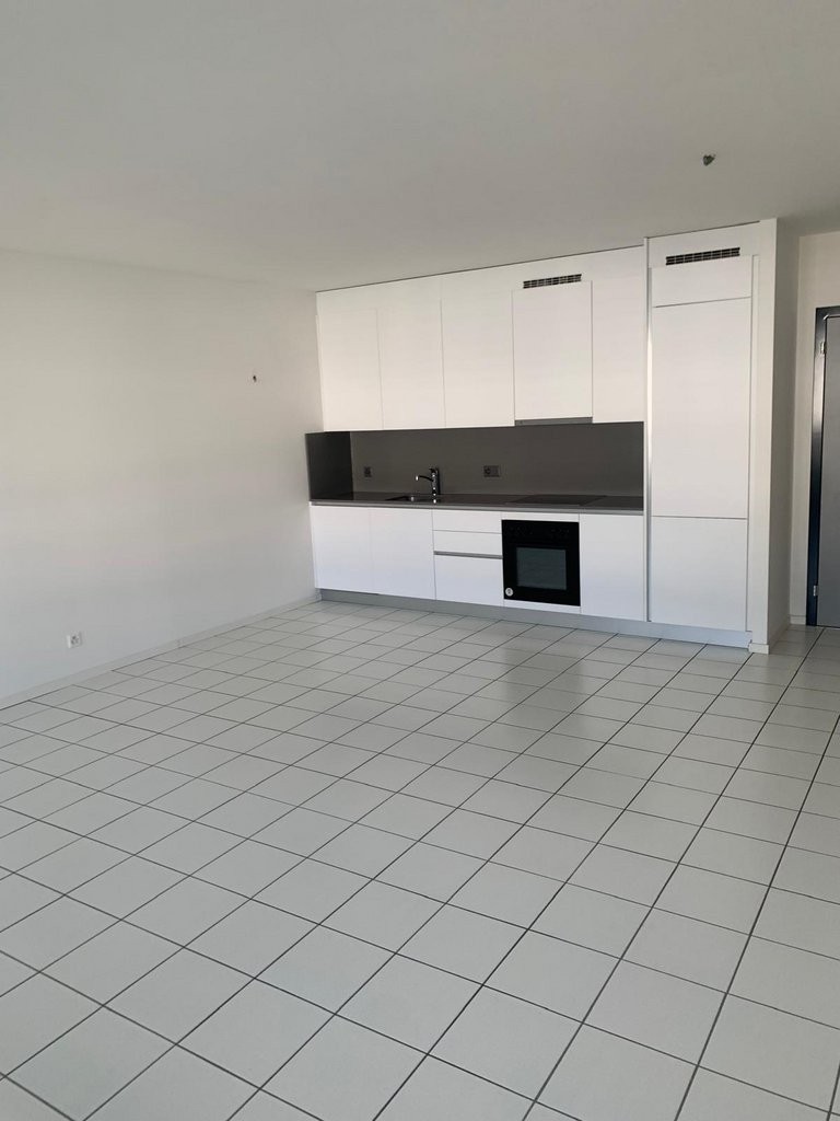 Affittasi grazioso appartamento a Chiasso - 1