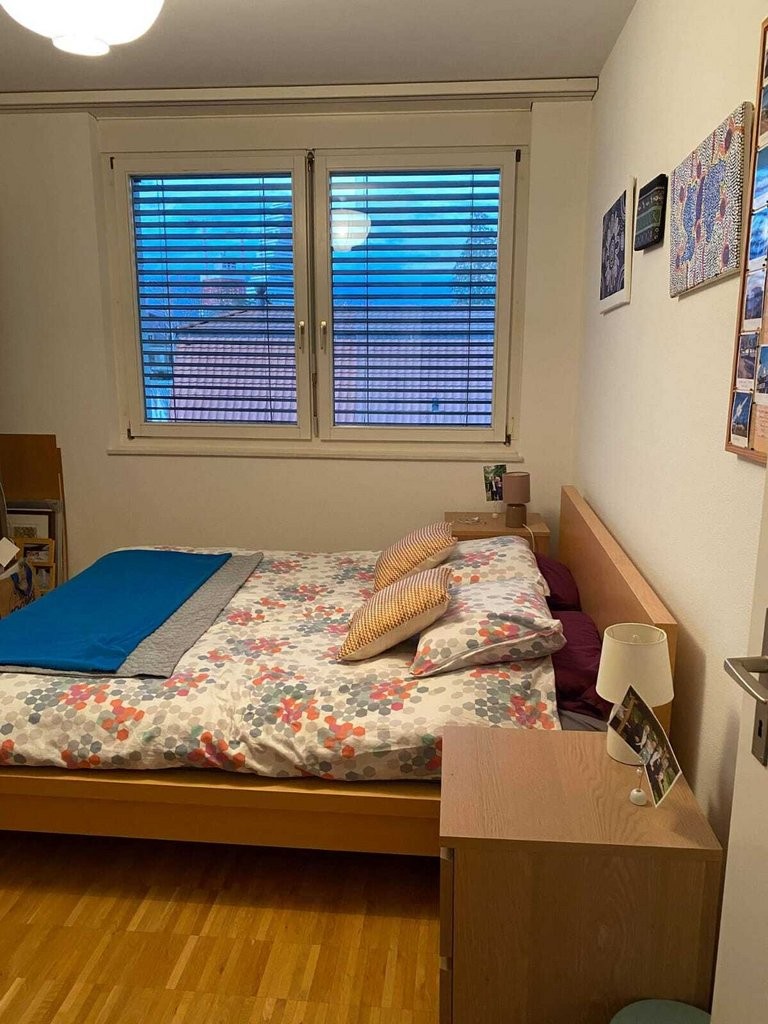 Stilvoll wohnen im Herzen von Basel, urban, grün & komfortabel - 1