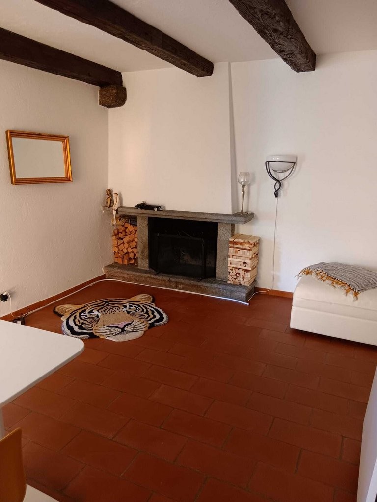 2 locali nel centro di Ascona - 1