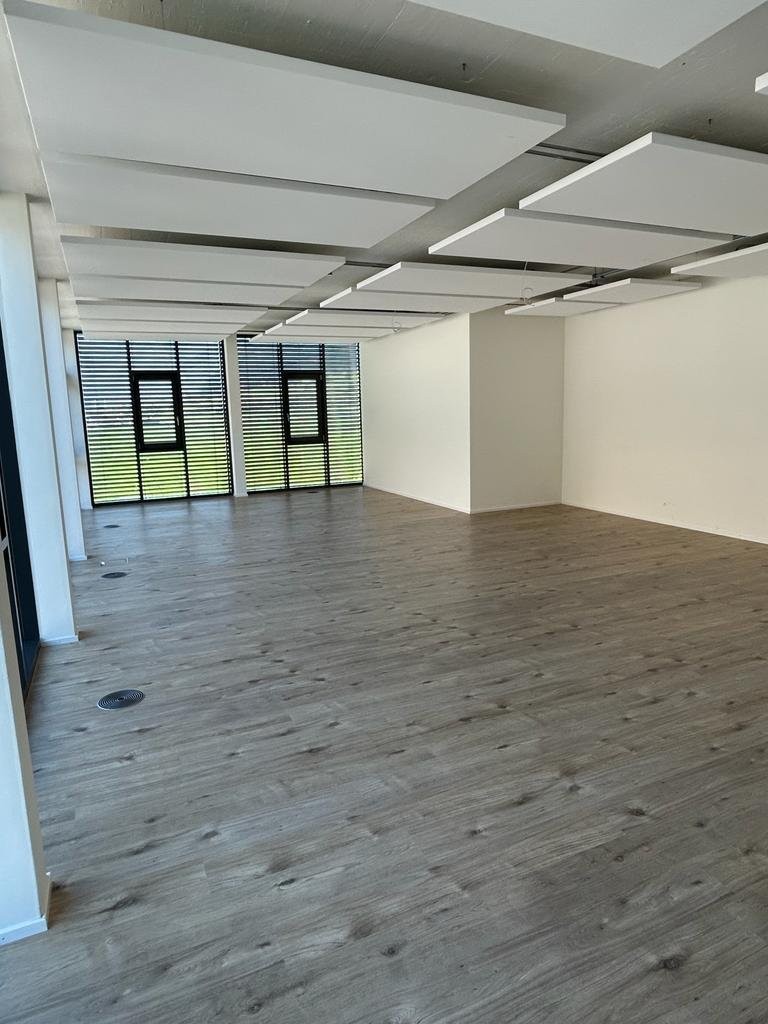 Moderne Gewerberäumlichkeiten im Plarenga-Center, Domat/Ems - 1