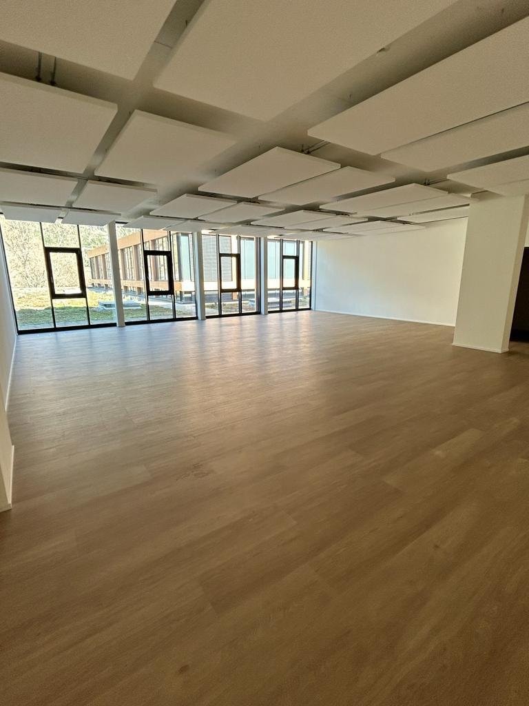 Moderne Gewerberäumlichkeiten im Plarenga-Center, Domat/Ems - 1