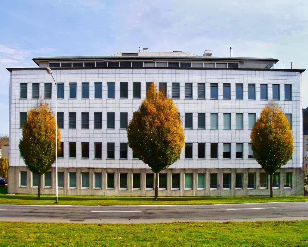 130 m2 - 1'100 m2 - Büroräumlichkeiten im Industriegebiet Täfern - 0