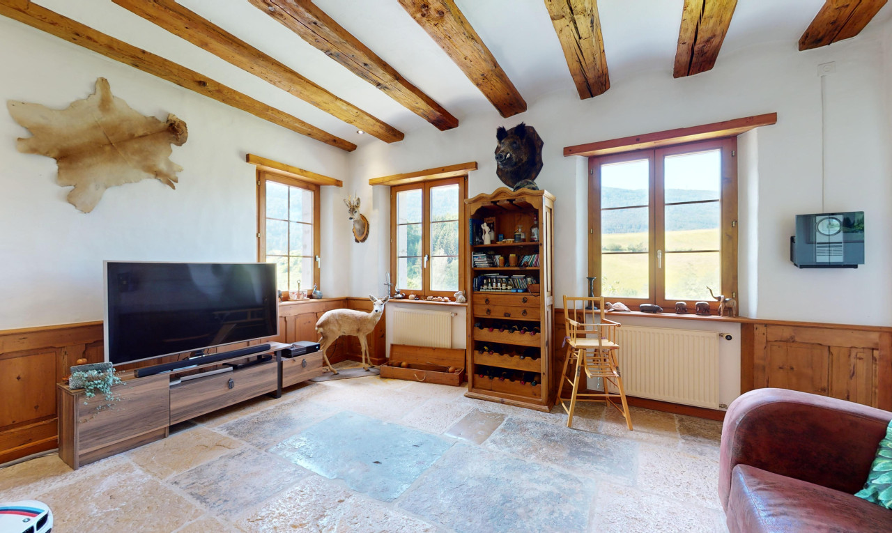 Wunderschönes Charakterobjekt mit Panoramablick auf die Landschaft - 6