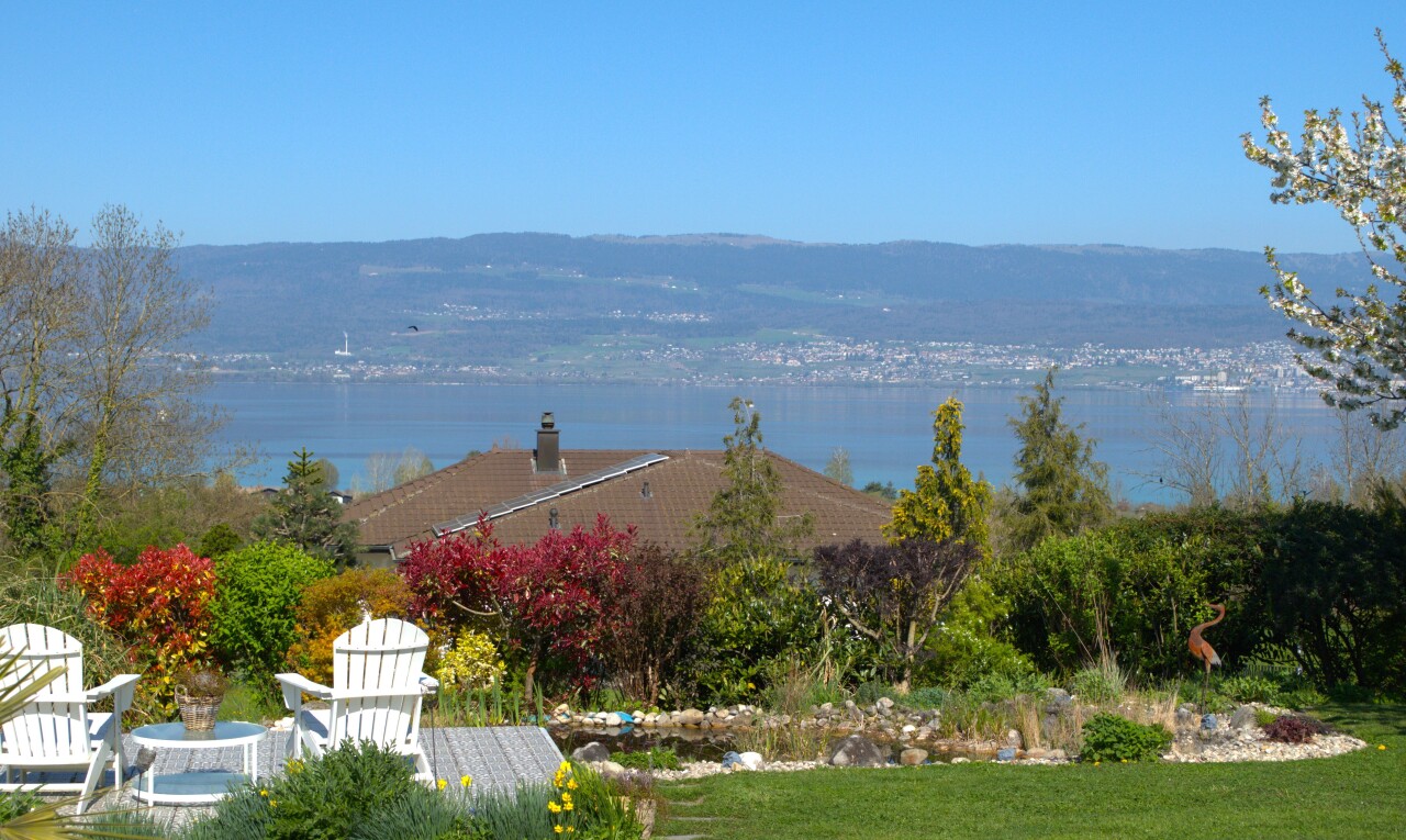 Stunning renovated villa with lake view - 2