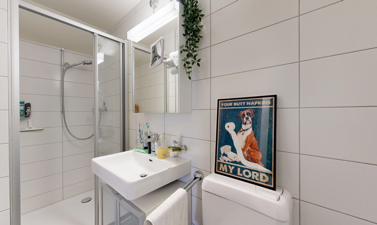 Renovated semi-detached house with private garden - 10