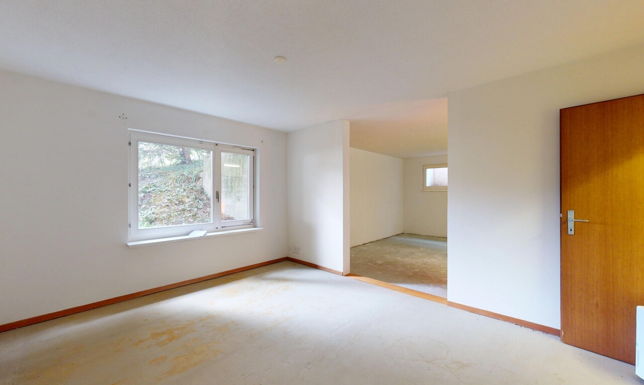 Freistehendes Einfamilienhaus mit viel Privatsphäre in Laufen BL - 0