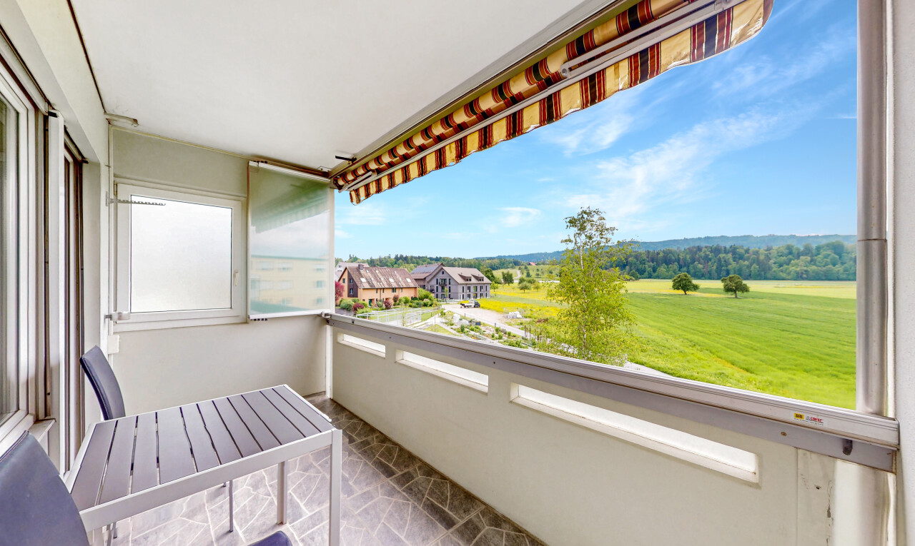 Renovierte 4.5-Zimmer-Wohnung mit unverbaubarer Aussicht - 2