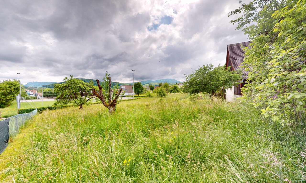 Ruhig gelegenes Baugrundstück mit Weitsicht in Arboldswil - 1