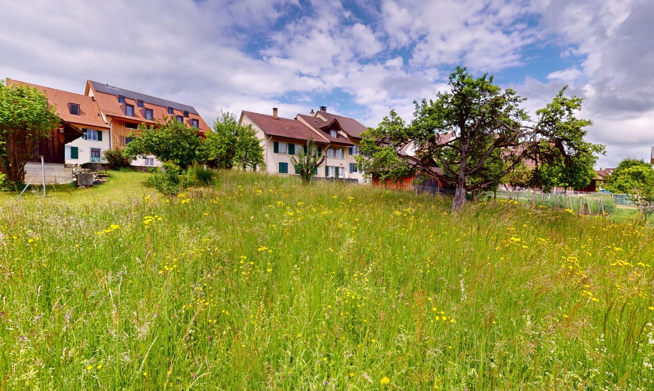 Ruhig gelegenes Baugrundstück mit Weitsicht in Arboldswil - 3
