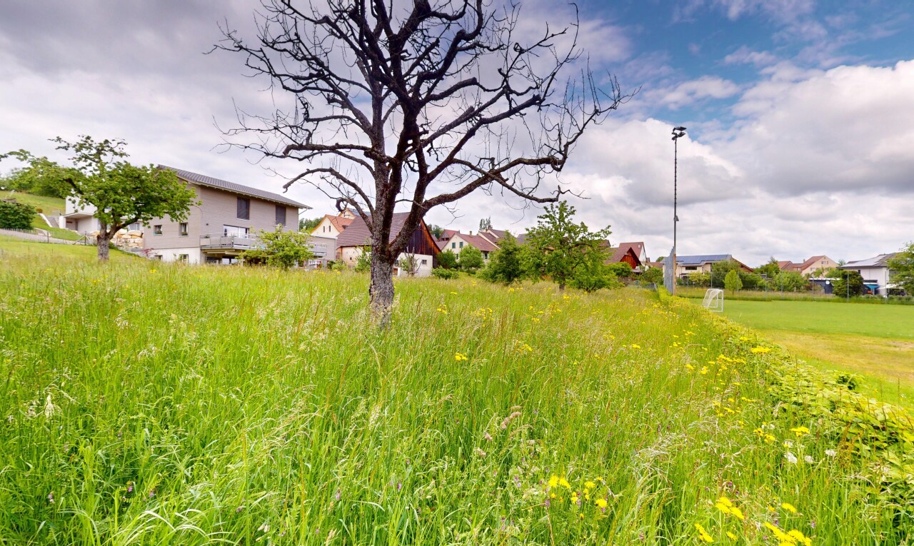 Ruhig gelegenes Baugrundstück mit Weitsicht in Arboldswil - 4