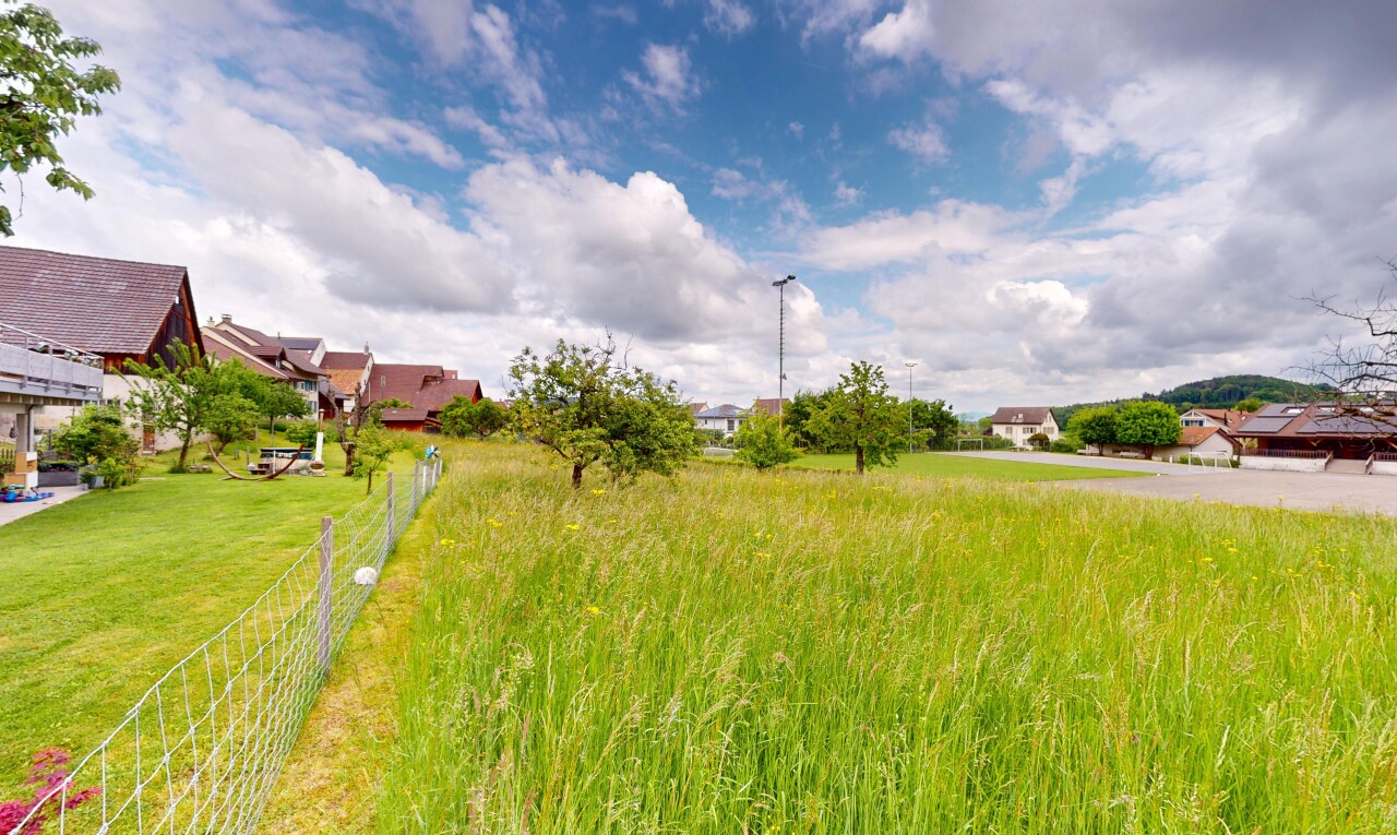 Ruhig gelegenes Baugrundstück mit Weitsicht in Arboldswil - 6