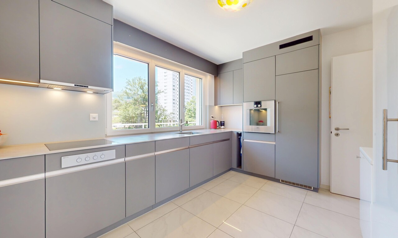 Moderne Attikawohnung direkt an der Zihl - 3