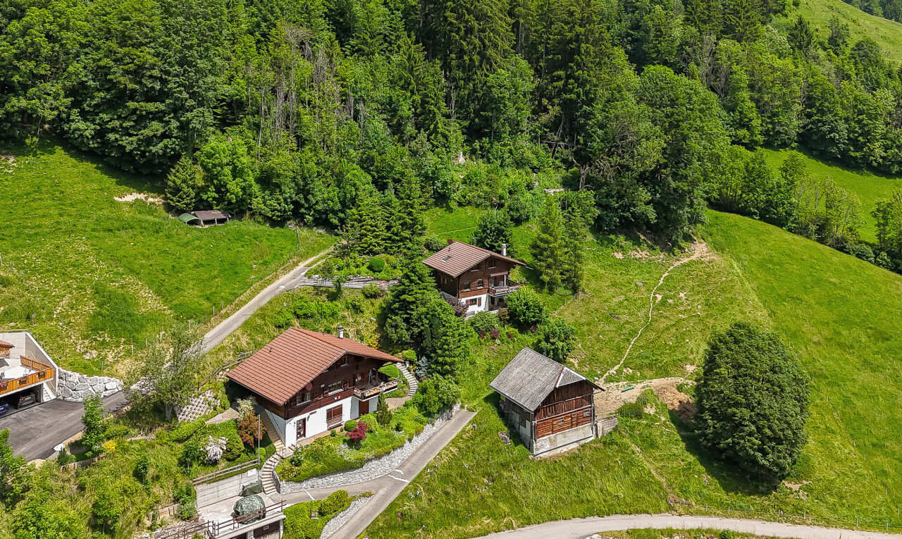 Ein Chalet mit einzigartigem Charme gegenüber den Gastlosen - 4