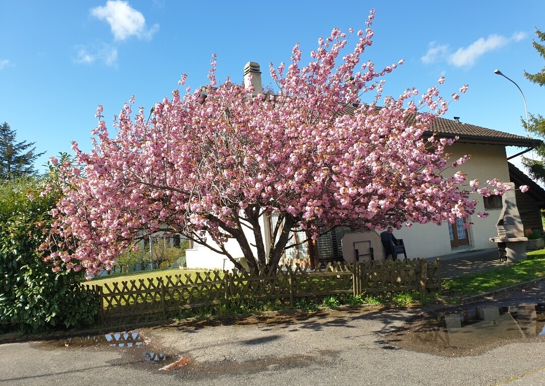 A family villa with lots of potential - 9