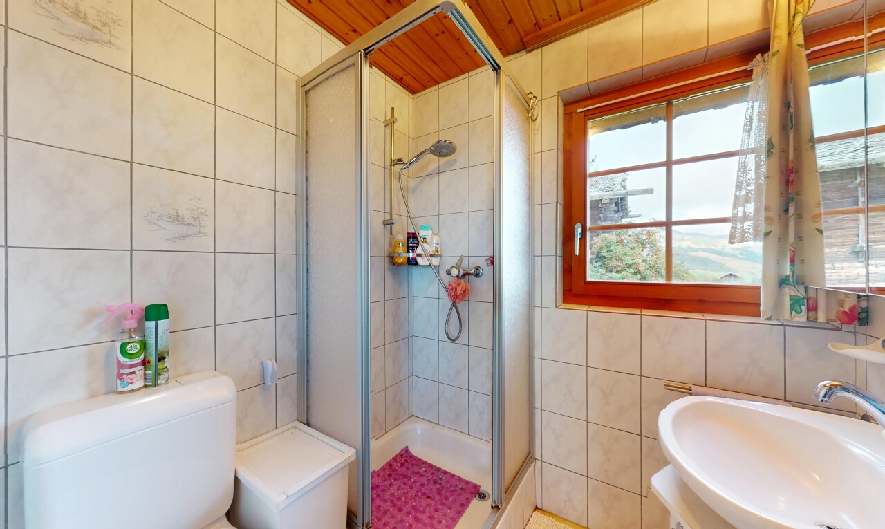 Traumhaftes Chalet in Unterbäch mit viel Land und Sonne - 9