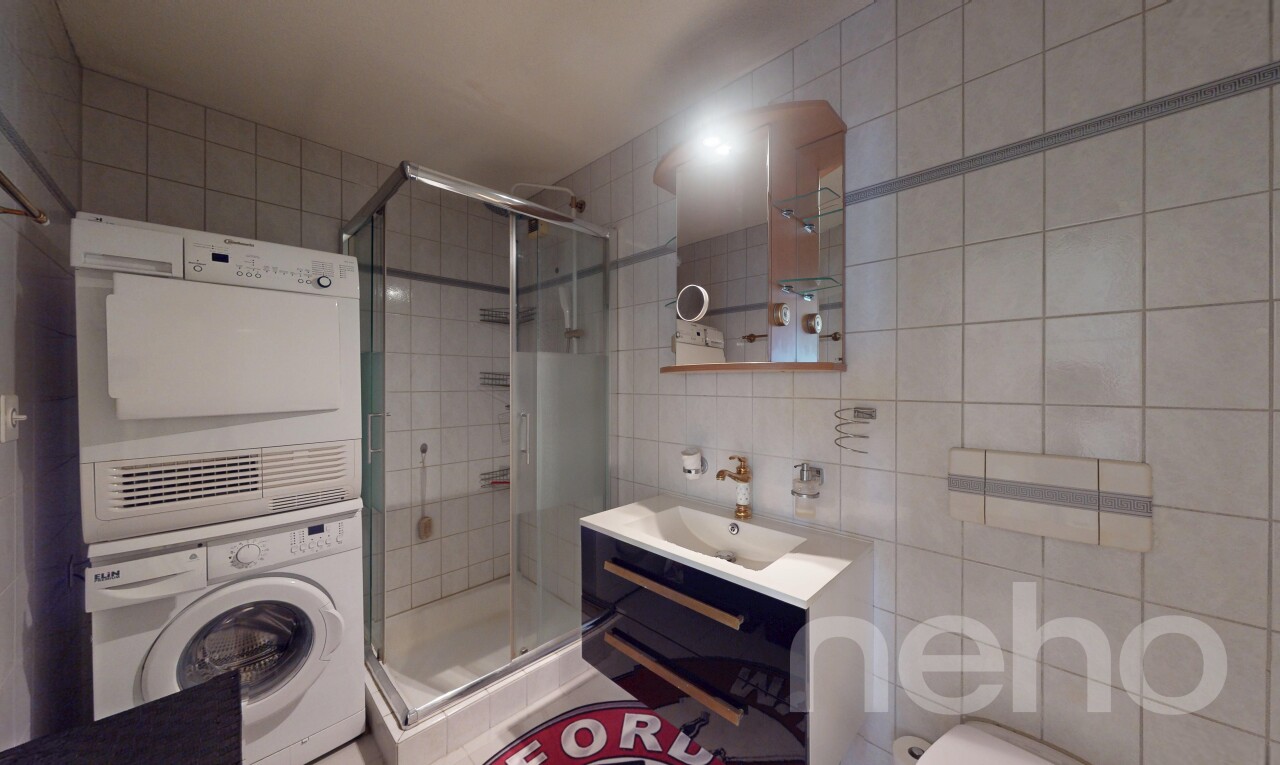 Charmante 3.5-Zimmer-Wohnung mit Wintergarten & Cheminée in Wittenbach - 8