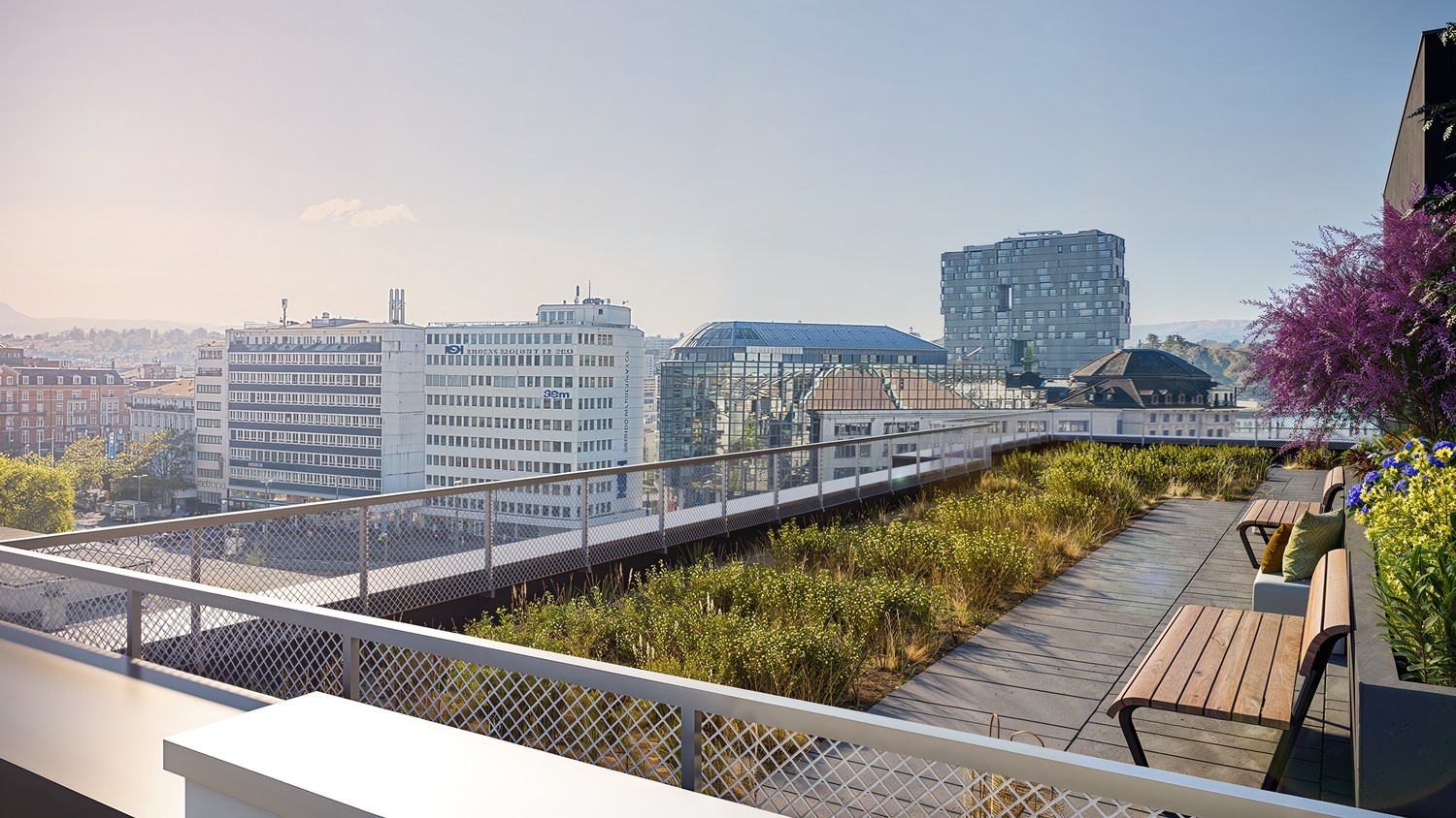 Wohnen mitten im Geschehen - Neubauwohnung im Herzen von Basel - 9