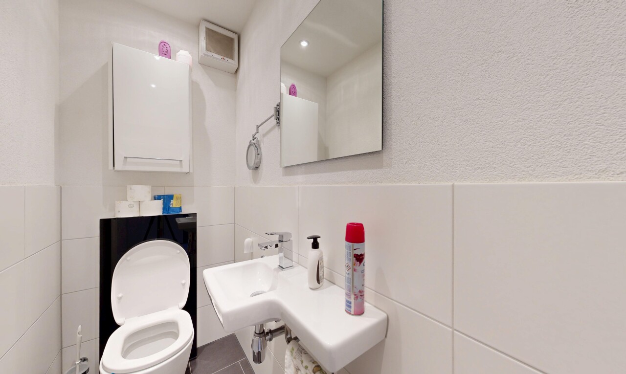 Dachwohnung mit Weitsicht, Cheminée und ausbaubarem Dachboden - 9