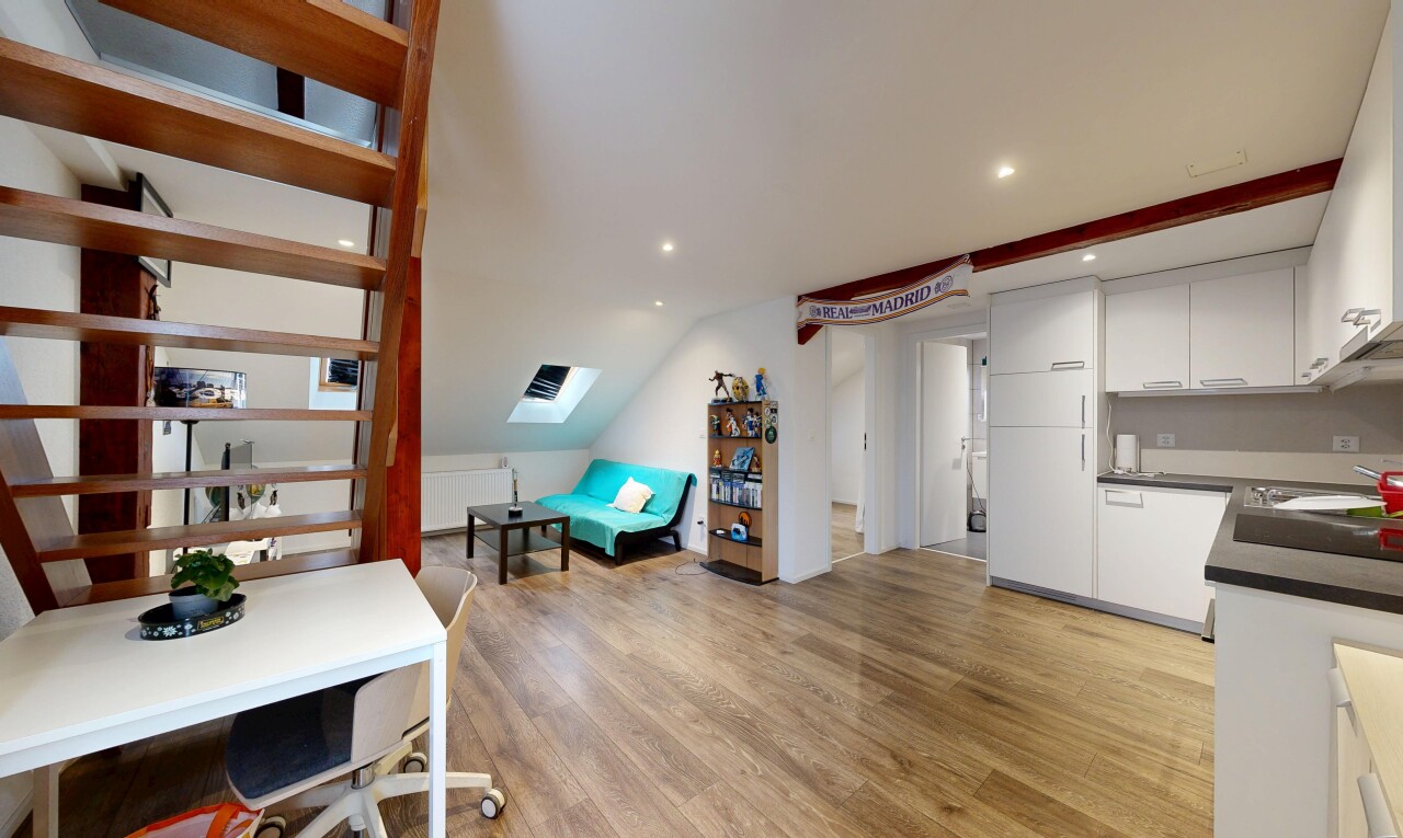 RENOVATED INVESTMENT PROPERTY IN A QUIET AREA NEAR BOOMING BULLE - 10