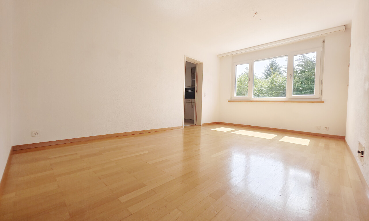 Attraktive 4.5-Zimmer-Wohnung mit Balkon an ruhiger Lage in Widen - 9