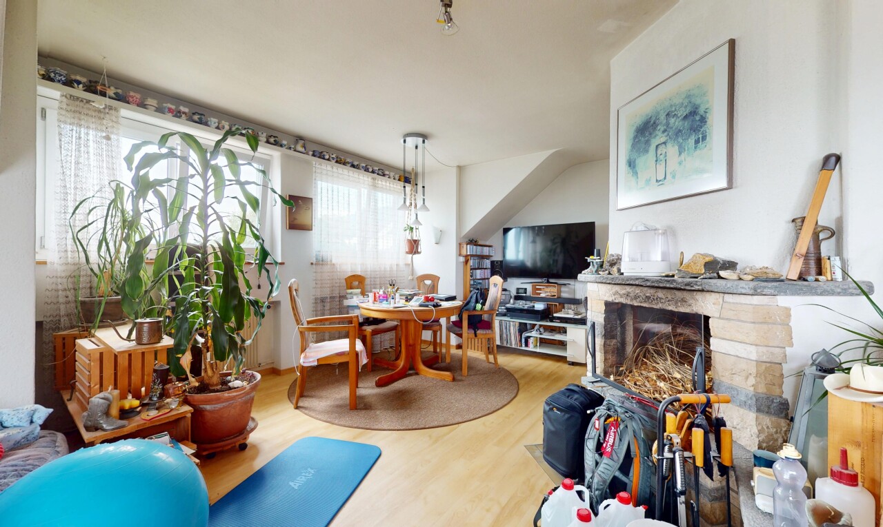 Attraktives Mehrfamilienhaus auf grossem Grundstück mit Weitsicht - 4