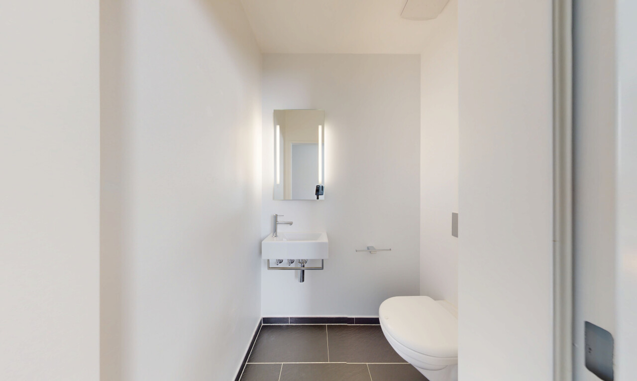 Modernes 6.5-Zimmer EFH an sonniger Lage mit pflegeleichtem Garten - 4