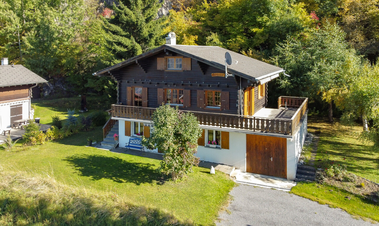 Charming chalet with separate apartment - 0